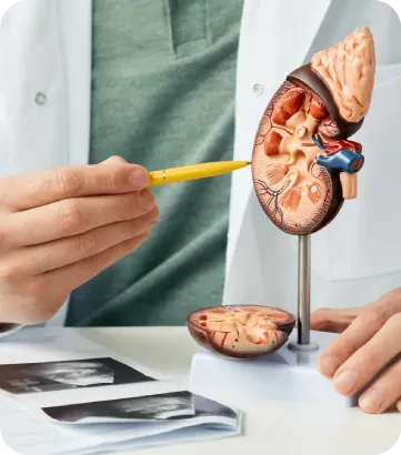 Kidney-Treatment